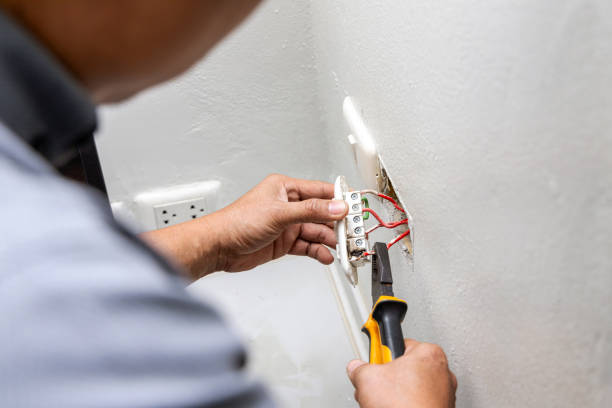 Best Electrical System Inspection  in West Mountain, UT